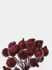 Белый ягодки на ветке, сахарные, 40 ягод