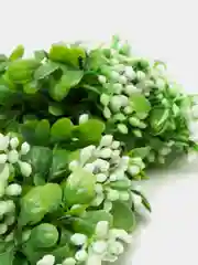 Белый букет искусственной зелени
