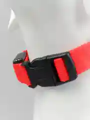 Красный ошейник LED для собак и кошек светящийся, на батарейках