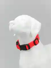 Красный ошейник LED для собак и кошек светящийся, на батарейках