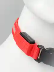 Красный ошейник LED для собак и кошек светящийся, на батарейках