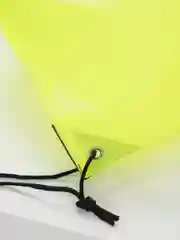 Лимонный сумка мешок для обуви, рюкзак для вещей