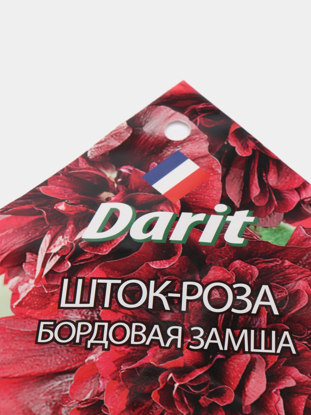 Семена цветов Шток роза "Бордовая замша"
