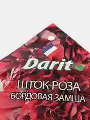 Семена цветов Шток роза "Бордовая замша"