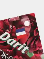 Семена цветов Шток роза "Бордовая замша"
