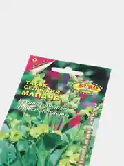 Табак Мапачо сельский махорка, семена, цветы