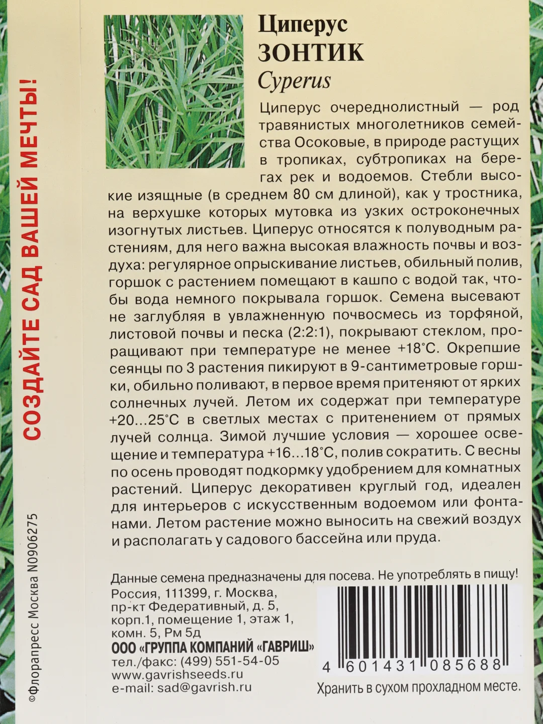 Семена цветов Циперус "Зонтик"
