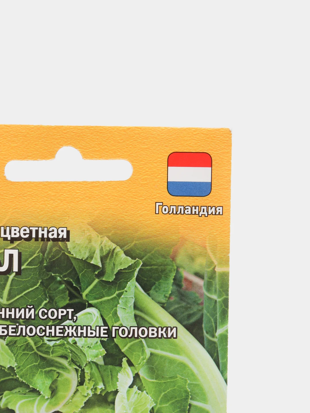 Где Купить Голландские Семена В Москве