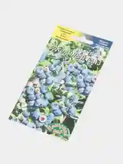 Голубика Соколиный глаз (семена)