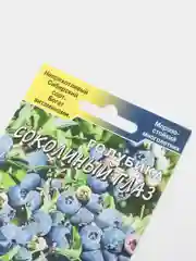 Голубика Соколиный глаз (семена)