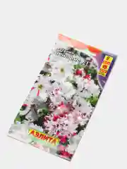 Петуния Бенефис (семена,цветы)