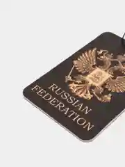 Угольный ароматизатор воздуха для авто, картонный