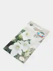 Платикодон Блюз (семена,цветы)
