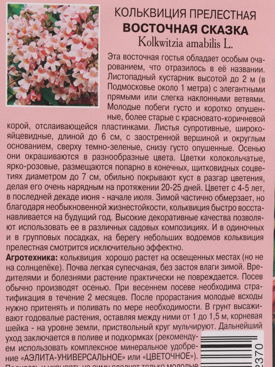 Семена Кольквиция "Восточная сказка"