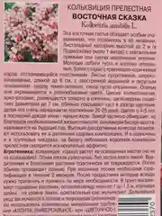 Семена Кольквиция "Восточная сказка"