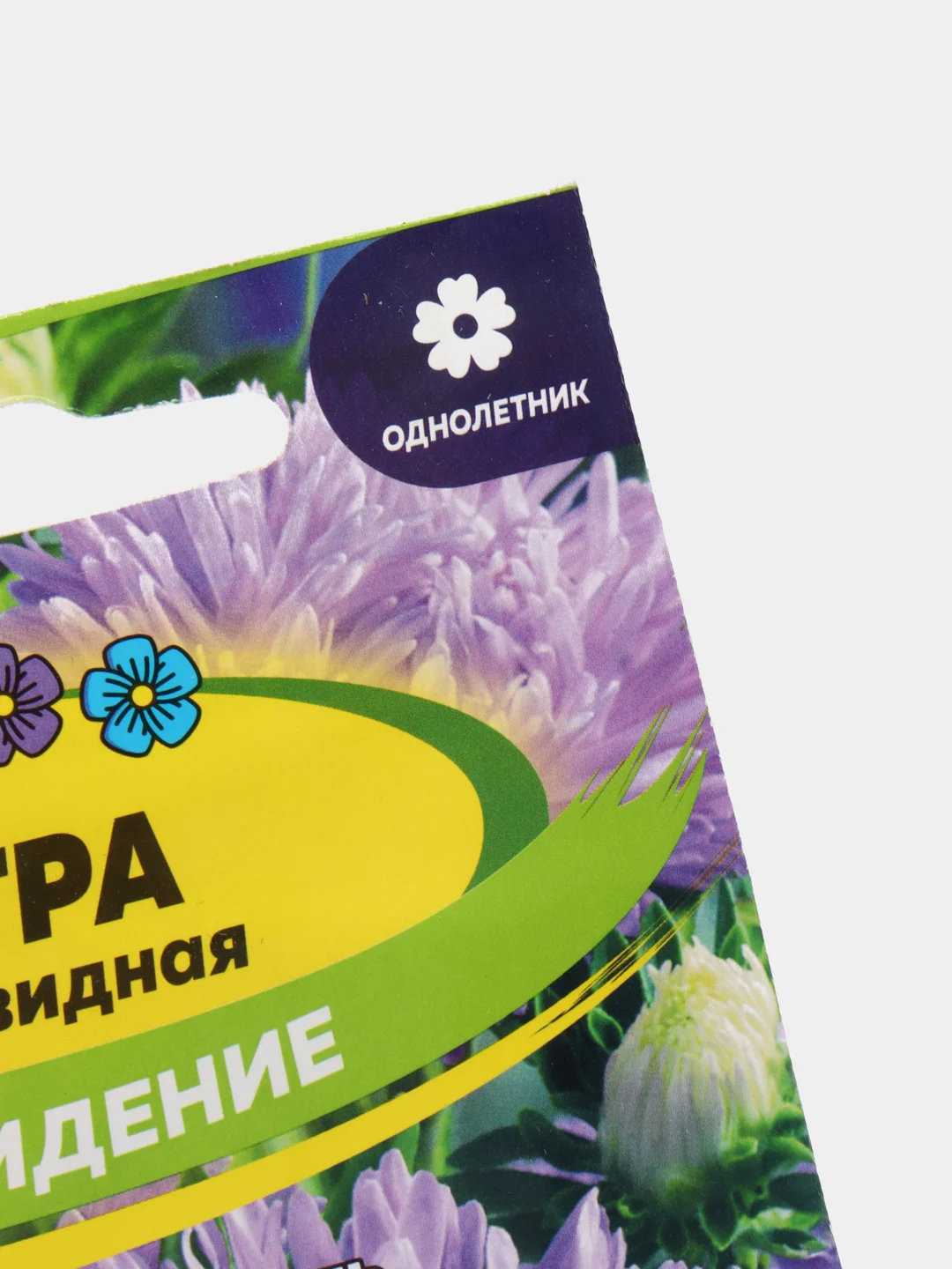 Астра "Сновидение", семена, цветы