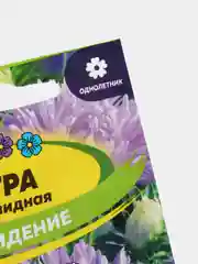 Астра "Сновидение", семена, цветы