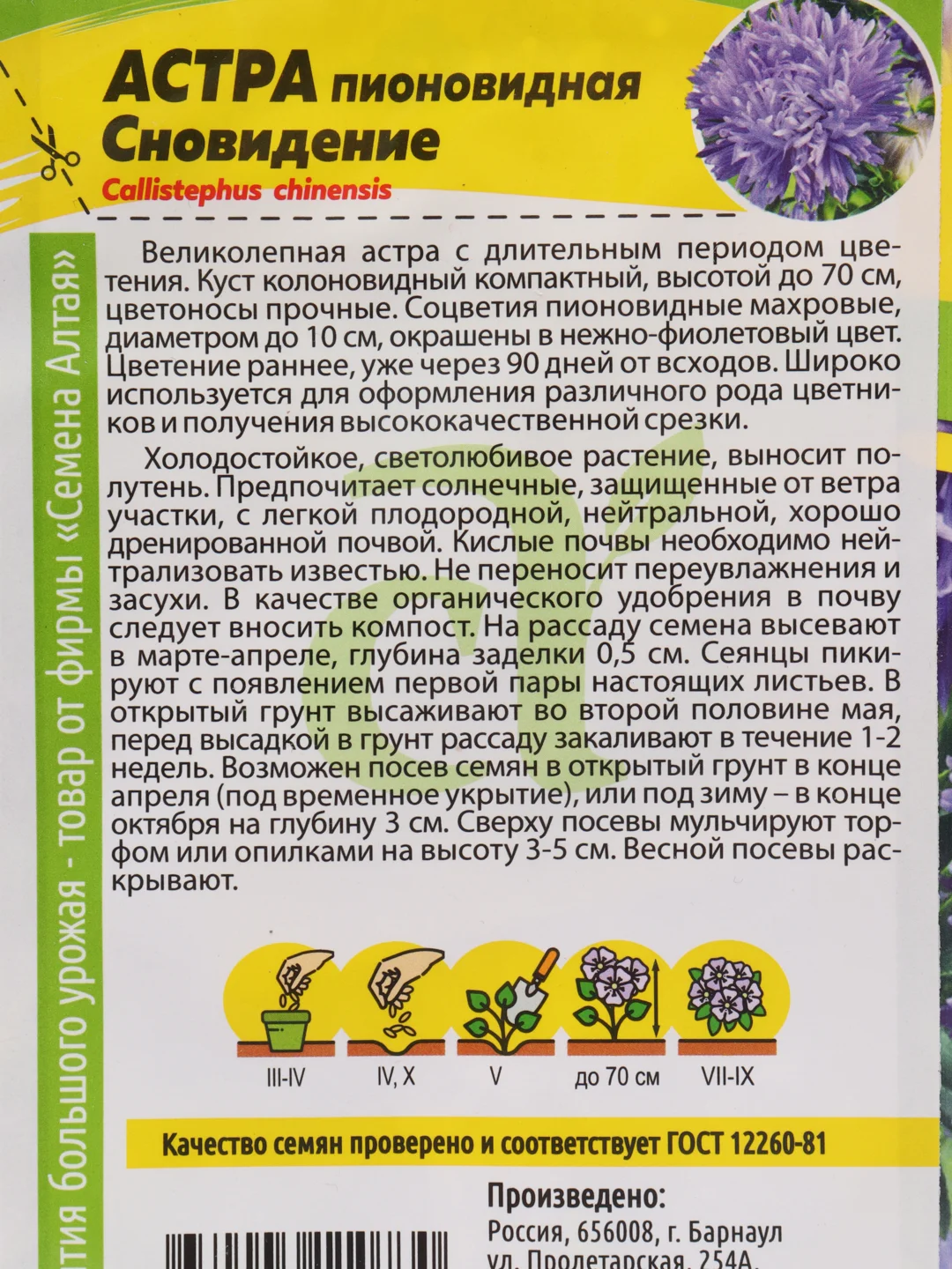 Астра "Сновидение", семена, цветы