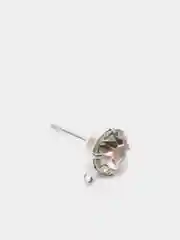 Серебряный гвоздики