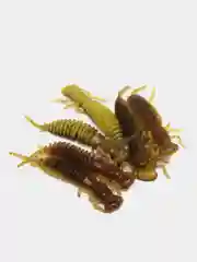 Светло-коричневый силиконовая приманка Urbanfish