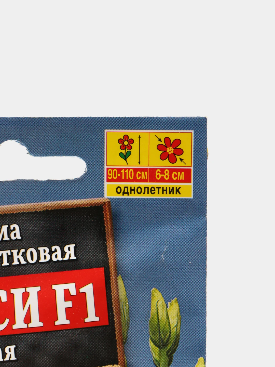 Семена цветы "Эустома Эйбиси белая"