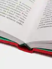 Рассказ Служанки (розовый фламинго), Маргарет Этвуд