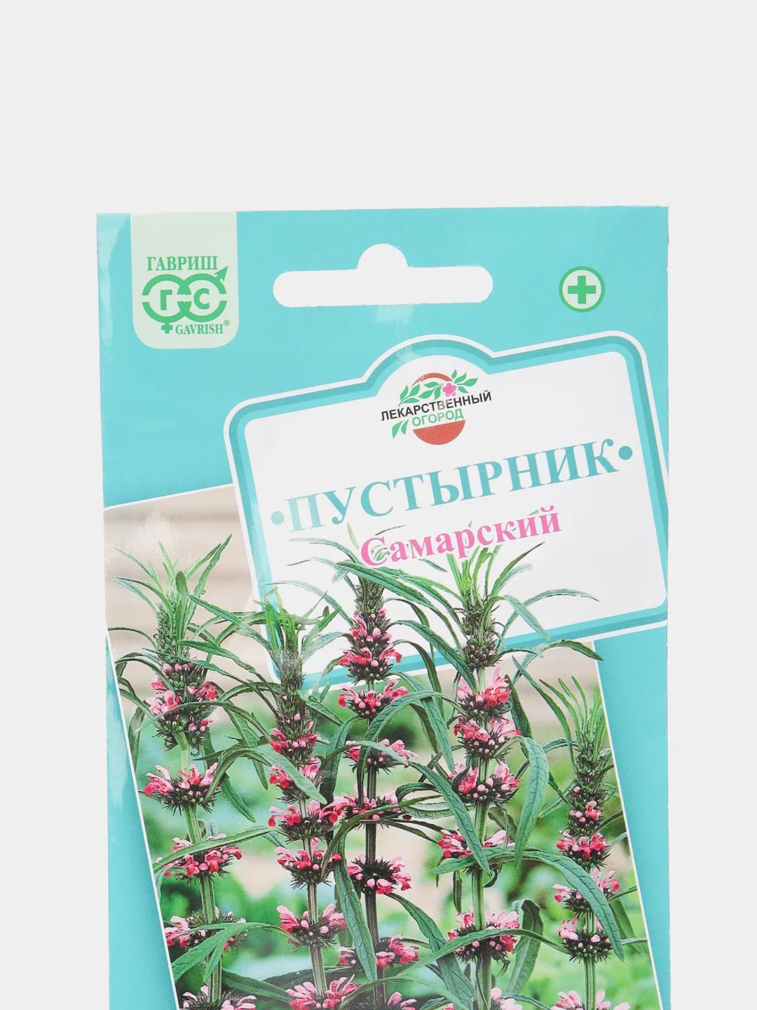 Пустырник Самарский, семена