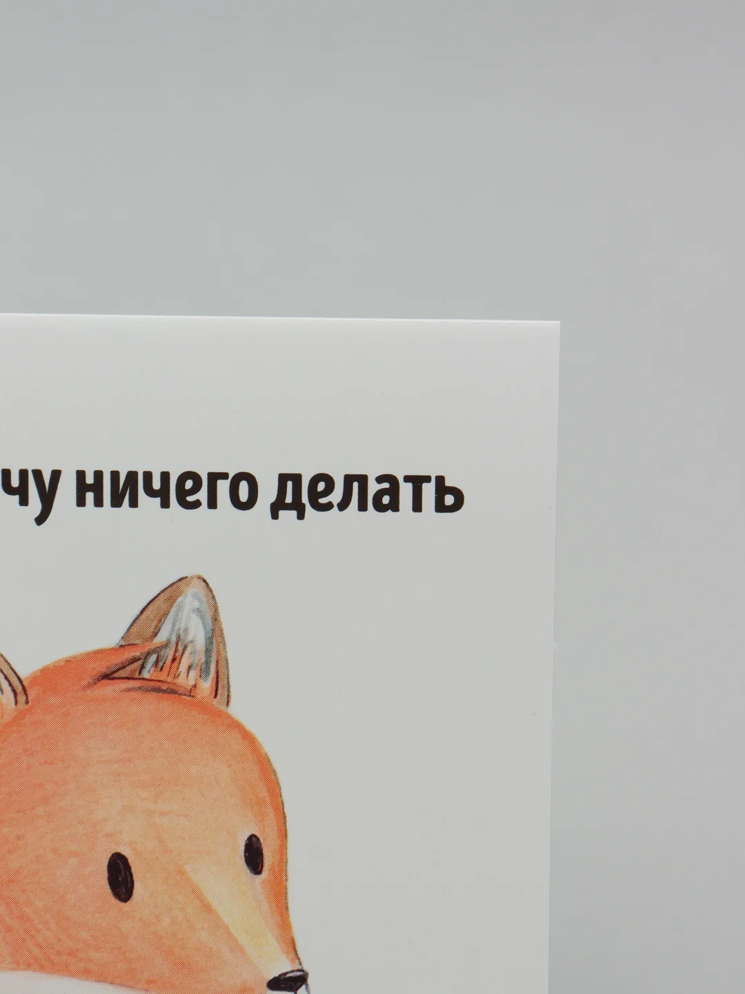 Оранжевый открытки с днём рождения (47 видов), крафт конверт в подарок, на праздник другу подруге