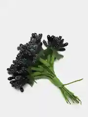 Черный тычинки с сахарными вставками 12 шт