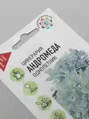 Цинерария  Андромеда (удачные семена)