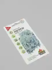 Цинерария  Андромеда (удачные семена)