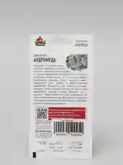 Цинерария  Андромеда (удачные семена)