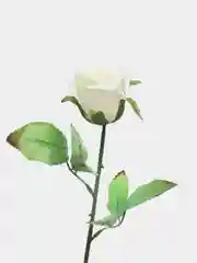 Белый искусственный бутон розы