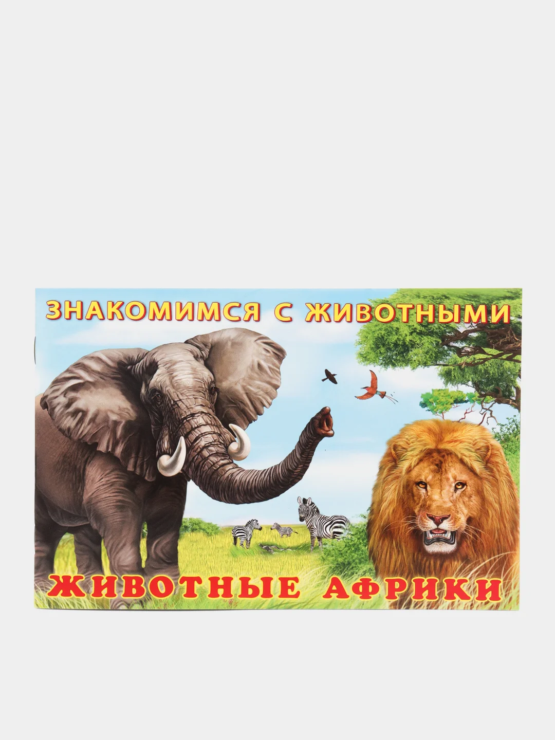 Голубой книга детская о животных