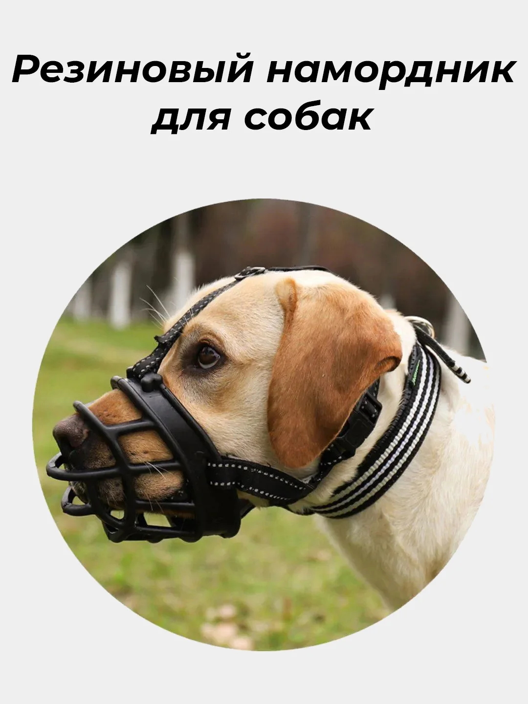 Намордники Для Средних Собак Купить