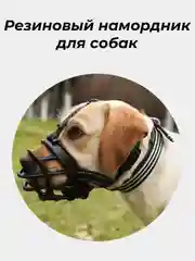 Удобный резиновый намордник для собак средних и крупных пород
