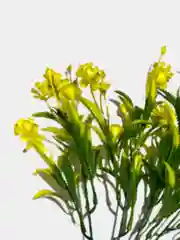 Искусственные цветы. Полевые цветы (пластиковый букет). Высота: 34 см. D бутона 2 см