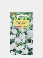 Семена цветов Кларкия "Альбина"
