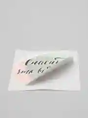 Набор наклеек "Спасибо, что выбрали нас", 4 х 4 см, 10 шт