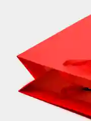 Однотонный стильный красный пакет