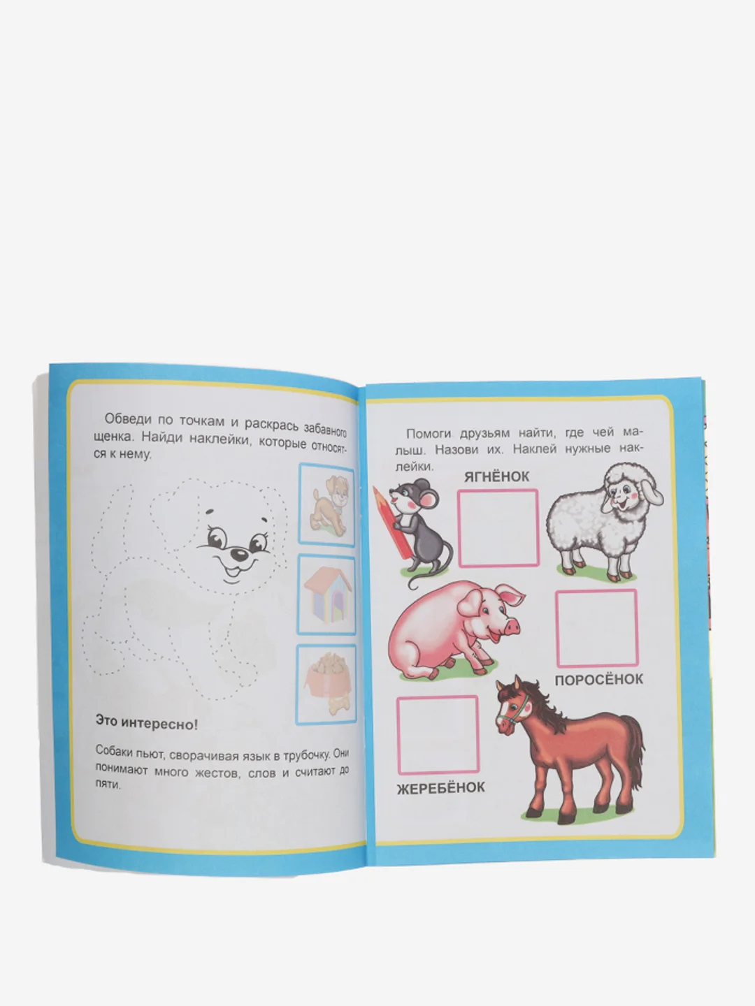 Лесной зеленый книга для детей 4-7 лет с наклейками, 12 стр., размер 22 x 16