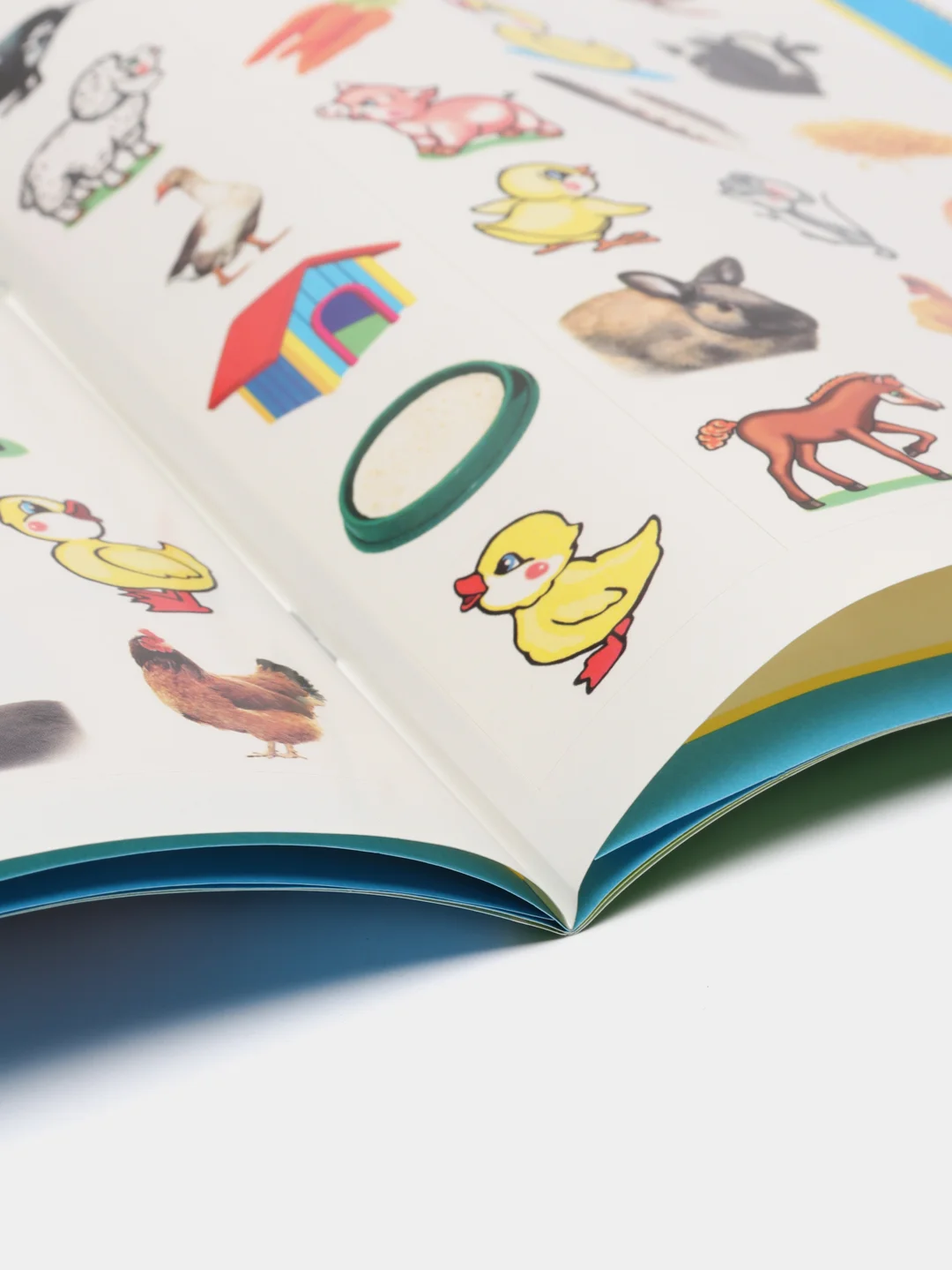 Лесной зеленый книга для детей 4-7 лет с наклейками, 12 стр., размер 22 x 16