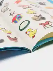 Лесной зеленый книга для детей 4-7 лет с наклейками, 12 стр., размер 22 x 16
