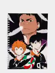 Тетрадь в клетку "HAIKYUU", 48 листов, на кольцах, с принтом