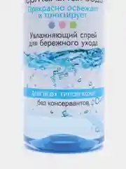 Термальная вода BIORLAB 95мл
