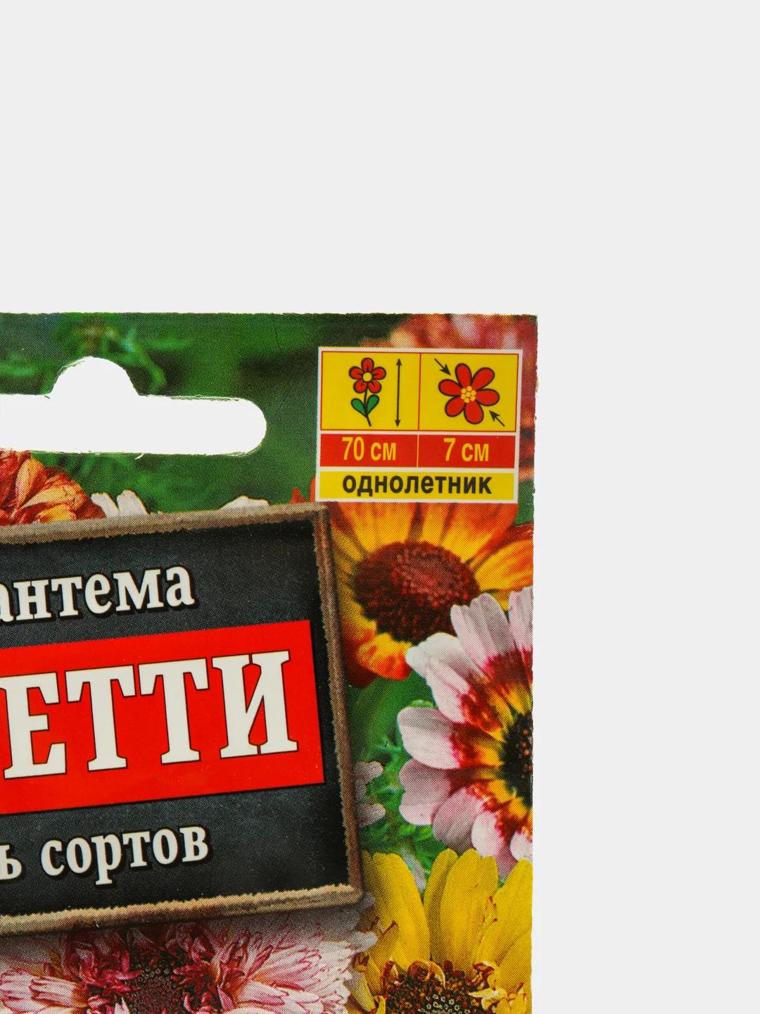 Семена цветы "Хризантема Дунетти"
