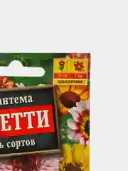 Семена цветы "Хризантема Дунетти"