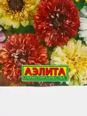 Семена цветы "Хризантема Дунетти"