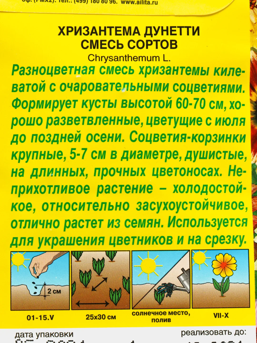Семена цветы "Хризантема Дунетти"