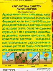 Семена цветы "Хризантема Дунетти"